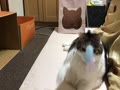 パンチングダイエット♪ パンチングダイエット♪